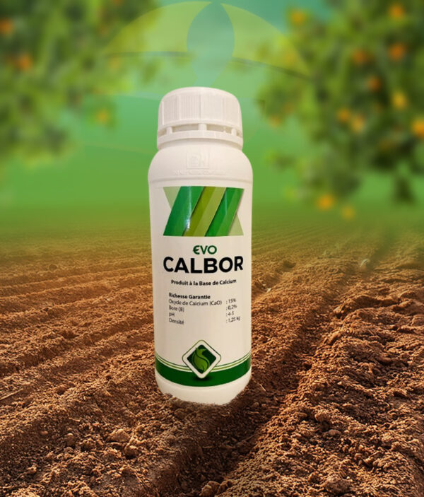 Calbor