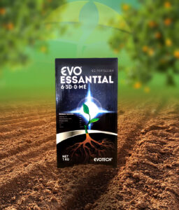 ESSENTIAL 6-30-0+ME (Enracineur)