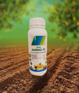 AMINO 10